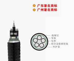 珠江南方一線電纜鋁合金電纜